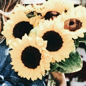 Meet your Posher, Liliana